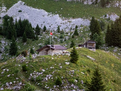 DCCG1X-20250813-1868