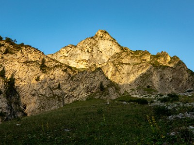 DCCG1X-20250813-1893