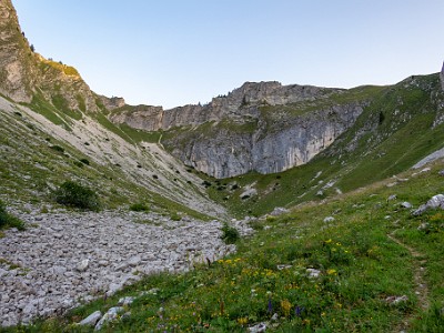 DCCG1X-20250813-1894