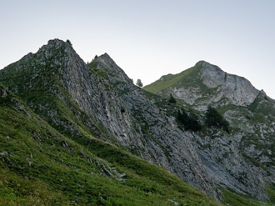 DCCG1X-20250813-1898