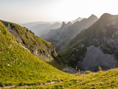 DCCG1X-20250813-1904