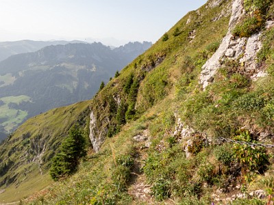 DCCG1X-20250813-1918