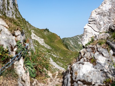 DCCG1X-20250813-1919