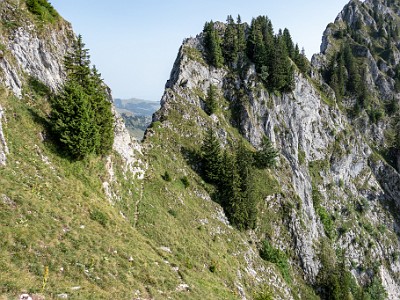 DCCG1X-20250813-1921