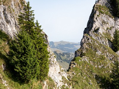 DCCG1X-20250813-1922