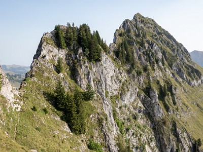 DCCG1X-20250813-1923