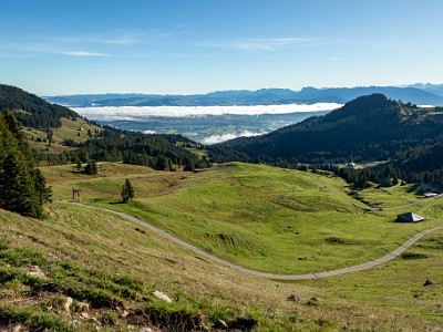 DCCG1X-20250928-1927