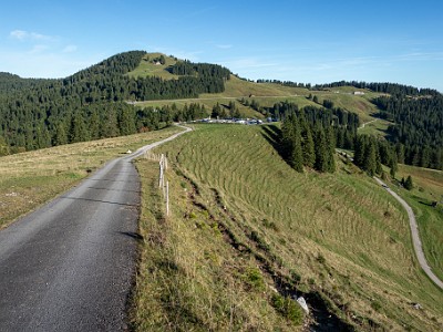 DCCG1X-20250928-1929