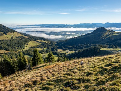 DCCG1X-20250928-1930