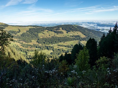 DCCG1X-20250928-1933