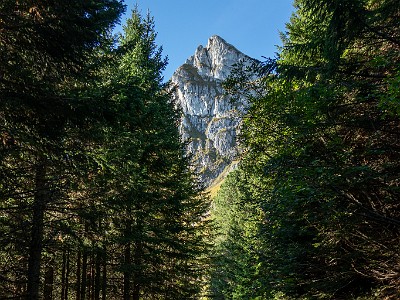 DCCG1X-20250928-1934