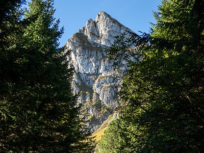 DCCG1X-20250928-1935