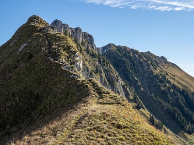 DCCG1X-20250928-1942