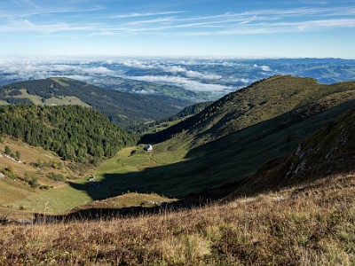 DCCG1X-20250928-1944