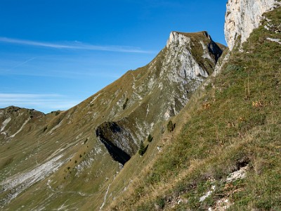 DCCG1X-20250928-1945