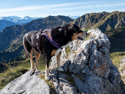 DCCG1X-20250928-1947