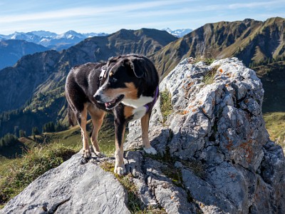 DCCG1X-20250928-1948