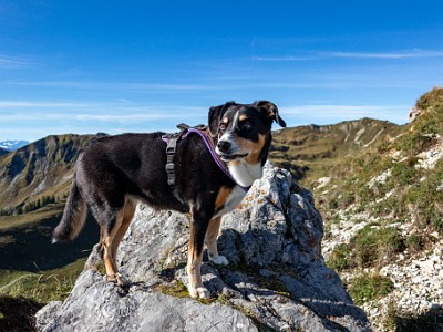 DCCG1X-20250928-1949