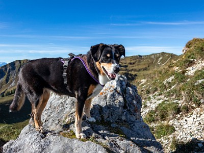 DCCG1X-20250928-1950