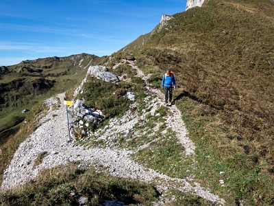 DCCG1X-20250928-1952