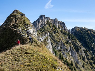 DCCG1X-20250928-1954