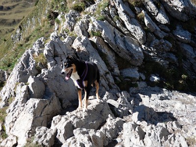 DCCG1X-20250928-1957