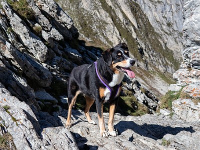 DCCG1X-20250928-1958