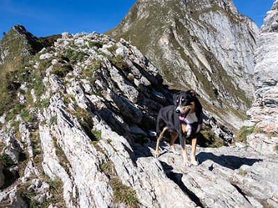 DCCG1X-20250928-1959