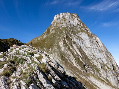 DCCG1X-20250928-1961