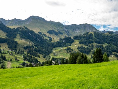 DCCG1X-20250805-1599