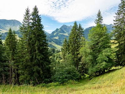 DCCG1X-20250805-1600