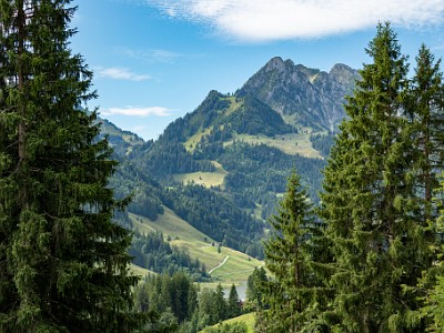 DCCG1X-20250805-1601