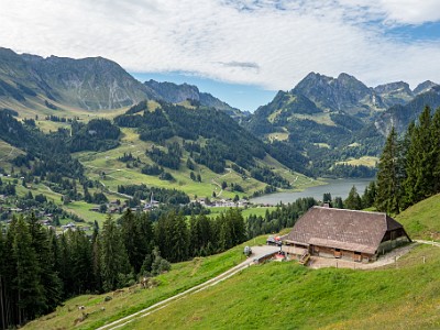 DCCG1X-20250805-1602