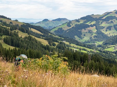 DCCG1X-20250805-1611