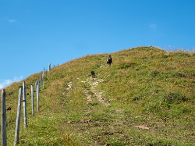 DCCG1X-20250805-1620