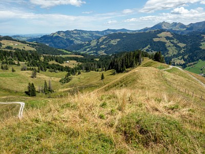 DCCG1X-20250805-1621