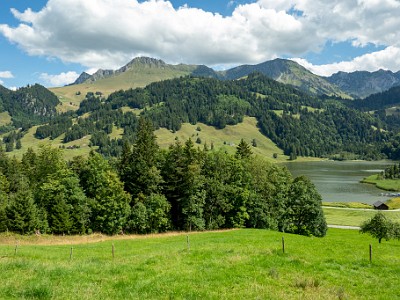 DCCG1X-20250805-1628