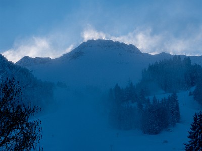 DCLDLUX8-20251122-1002040