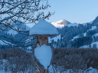 DCLDLUX8-20251122-1002041