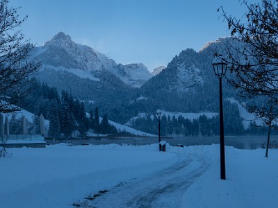 DCLDLUX8-20251122-1002042