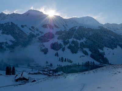 DCLDLUX8-20251122-1002046