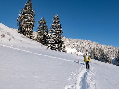 DCLDLUX8-20251122-1002048