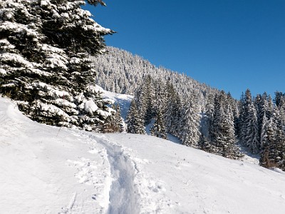 DCLDLUX8-20251122-1002052