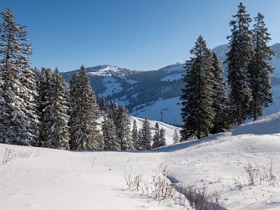 DCLDLUX8-20251122-1002053