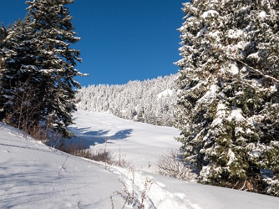 DCLDLUX8-20251122-1002055