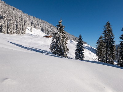 DCLDLUX8-20251122-1002056