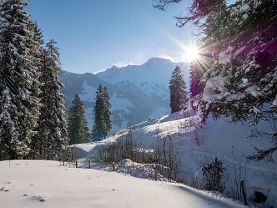 DCLDLUX8-20251122-1002058