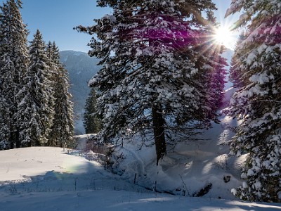 DCLDLUX8-20251122-1002059