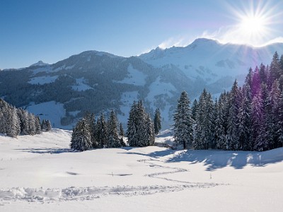 DCLDLUX8-20251122-1002061