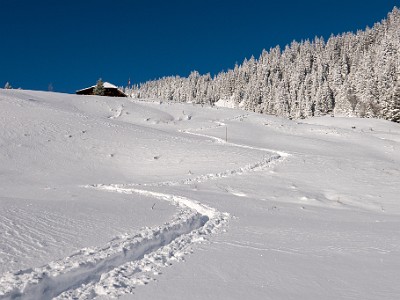 DCLDLUX8-20251122-1002065